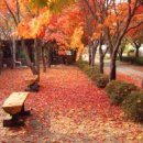 마음이 머무는곳 이미지