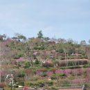 청실(685) 이미지