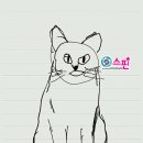 백야학원 이미지