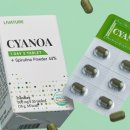 시아푸드 이미지