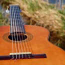 예일음악전문학원 이미지