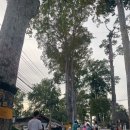 합동슈즈 | 즐거웠던 치앙마이 송크란 물축제 코쿤투어 후기