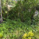 기북면행정복지센터 이미지