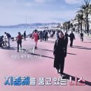 메르샤토 | 나이, 프랑스 국가 공인 가이드, 프로방스 유럽여행 큐레이터(투어 예약, 비용, 일정, 후기), 세계테마기행