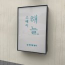 스테이해늘 이미지