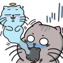 지니스 송탄도서관 사거리점 이미지