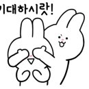 양재초록안경 이미지
