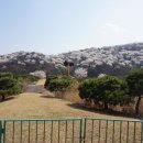 호암미술관 이미지