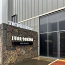 앨리스의토끼굴구미확장점 | 제주 애월 실내 아이와 가볼만한곳 아이바가든 미디어아트