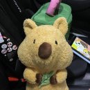 진천가톨릭피부과의원 이미지