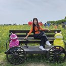 토마토댄스스포츠학원 이미지
