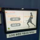 세종시 스크린테니스 비바테니스 내돈내산 이용후기 : 예약방법, 가격, 코트정보