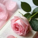 2월12일 톡톡수다방 끝말잇기 ( - + ) 이미지