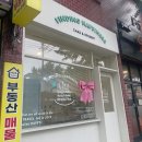 더해피니스 | 🎂 부산 광안리 주문 제작 케이크 추천! 파인딩 해피니스 내돈내산 후기 : 류솔