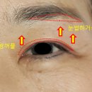 엄지연합의원 이미지