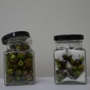 뉴그린팜 이미지