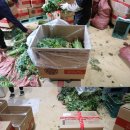 윤승하농장 이미지