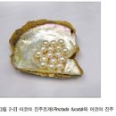 현대컴퓨터직업전문학교 이미지