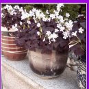 금강목욕탕 이미지