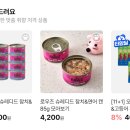 미래펫 브런치
