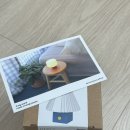 하얀버섯 | [침실무드등] 픽셀 버섯 무드등 후기