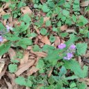 풀꽃농장 이미지