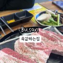 육값하는집