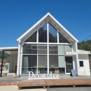 힐링강릉 | 🌿 내돈내산~ 강릉 숨은 힐링 카페 후기 [드바로티]