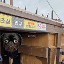 거북선 | 여수 이순신광장에서 본 전라좌수영거북선 후기 - 주차정보