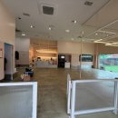 달리애견 이미지