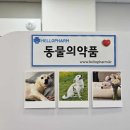 남푸른약국 이미지