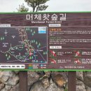 숲에오름협동조합 이미지
