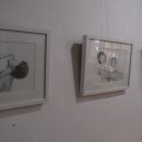 솔방다방 이미지