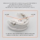 오알프치과의원 이미지