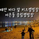 내돈내산 태안 바다 바로앞 어은돌 송림 캠핑장 2박3일 키즈캠