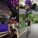 하서윤 카카오 검색결과