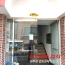 준양이