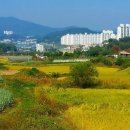 행정사제일합동사무소 이미지