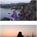 효리네 민박 이미지