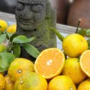 별별제주 이미지