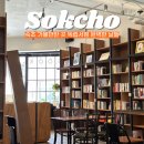 완벽한날들 | 속초 가볼만한 곳 최애 독립서점 완벽한 날들