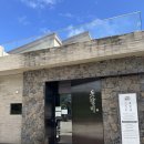 대평갈비 | [제주 서귀포 맛집] 이영자가 반한 명호돗갈비 대평본점 🍖🍖