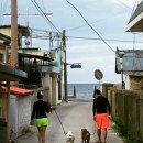 바다여행 이미지