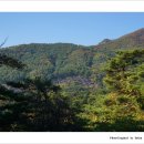 박달재자연휴양림 이미지