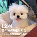 동탄산단6길L | 동탄 강아지미용실 [소서] 1인샵 프리미엄 케어 -`♥´-선생님 남는게 있나요?? 서울에서 부터 동탄까지...