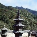 산내면 덕동마을 이미지