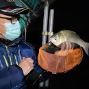 남양낚시터 이미지