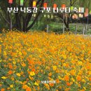 구례 5일시장내 다단지(주차장) | 부산 낙동강 구포나루 축제 황화코스모스 꽃나들이 데이트 구포역 가볼만한곳