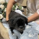 준동물병원 이미지