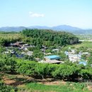 대구경북능금농협청도경제사업장 | 고향 淸道(청도) 역사 산책